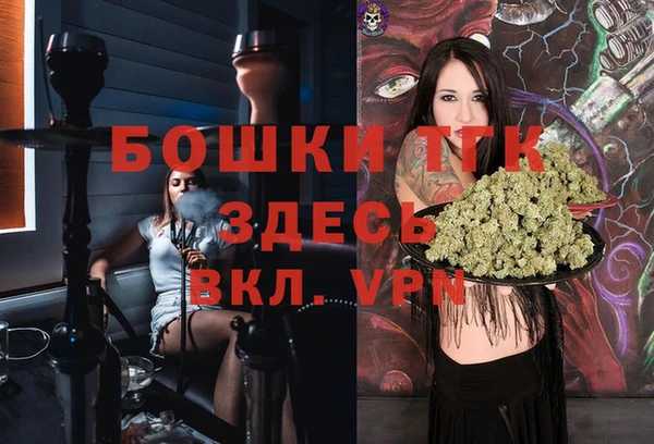 не бодяженный Гусев