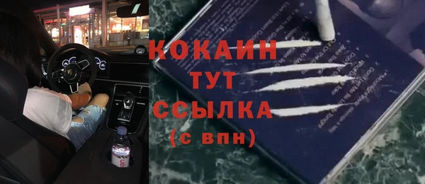 spice Гусь-Хрустальный